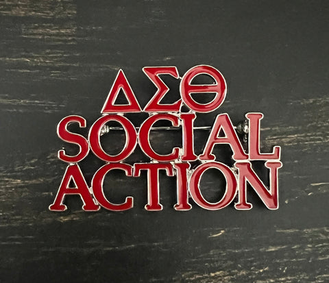 DST Social Action Brooch Pin